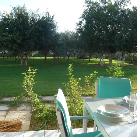 Apartment Plaza Kalamaki (Zakynthos)