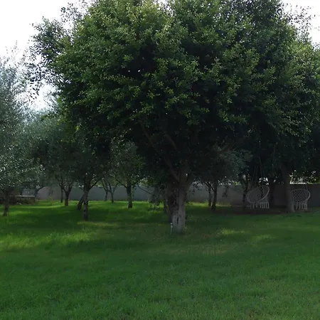 公寓 Plaza Kalamákion